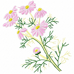 Plants Embroidery Design 8 Plants Embroidery Design 8